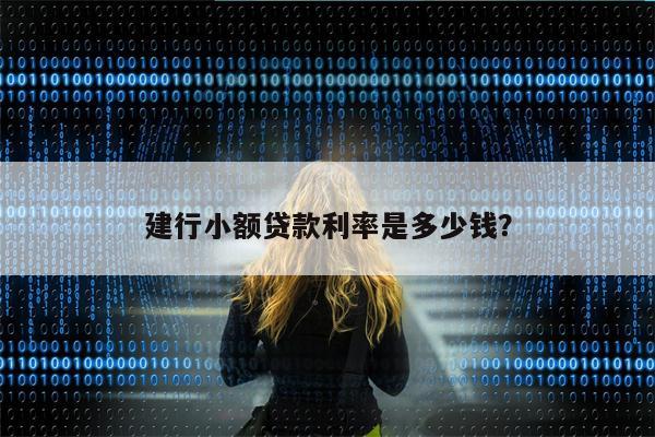 建行小额贷款利率是多少钱?