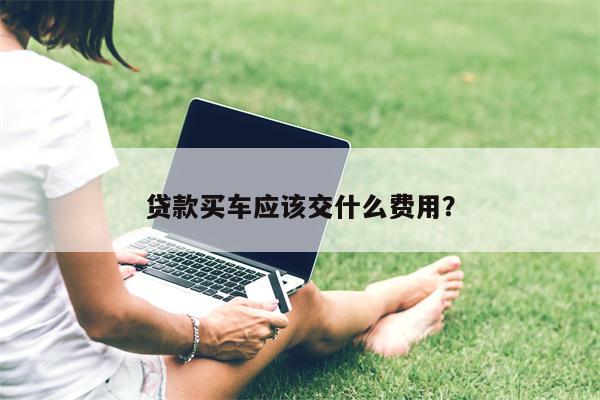 贷款买车应该交什么费用?