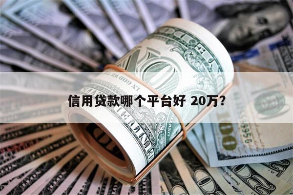 信用贷款哪个平台好 20万?