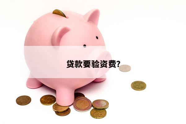 贷款要验资费?