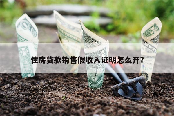 住房贷款销售假收入证明怎么开?