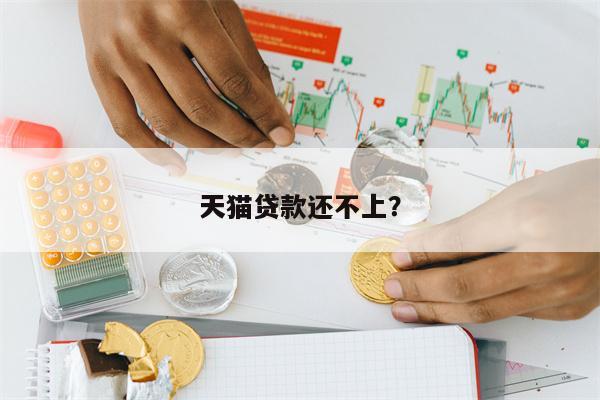 天猫贷款还不上?
