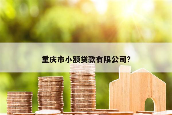 重庆市小额贷款有限公司?