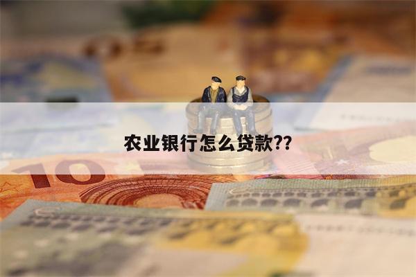 农业银行怎么贷款??
