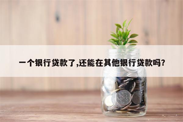 一个银行贷款了,还能在其他银行贷款吗?