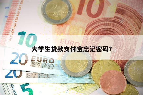 大学生贷款支付宝忘记密码?