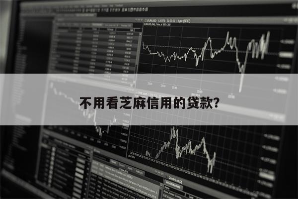 不用看芝麻信用的贷款?