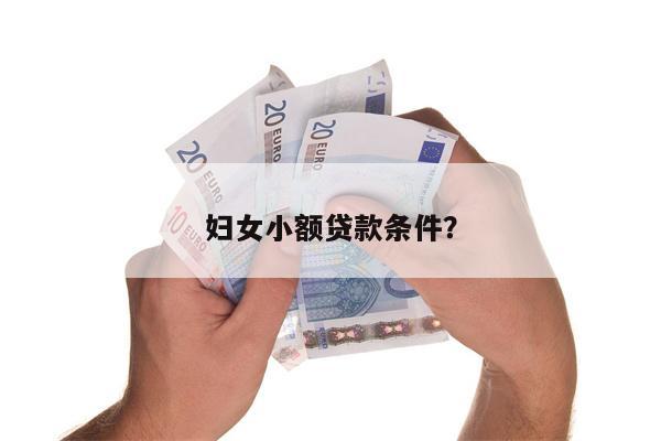 妇女小额贷款条件?