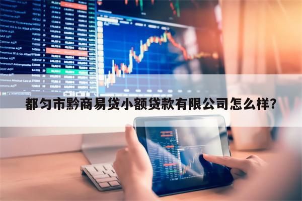 都匀市黔商易贷小额贷款有限公司怎么样?