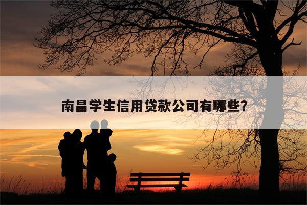 南昌学生信用贷款公司有哪些?