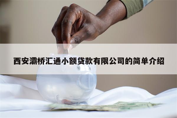 西安灞桥汇通小额贷款有限公司的简单介绍