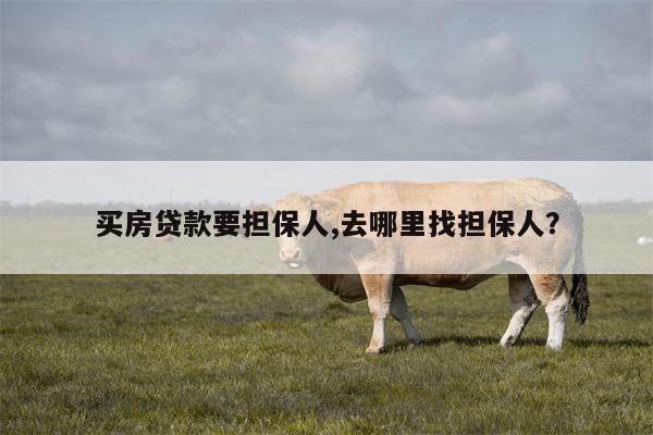 买房贷款要担保人,去哪里找担保人?