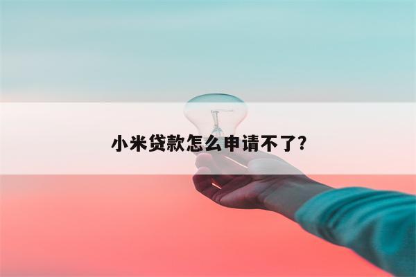 小米贷款怎么申请不了?