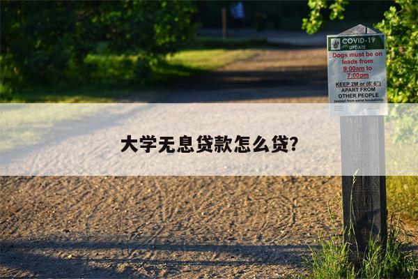 大学无息贷款怎么贷?