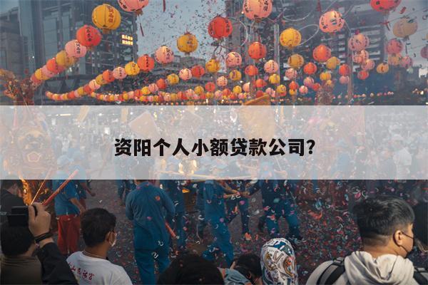 资阳个人小额贷款公司?