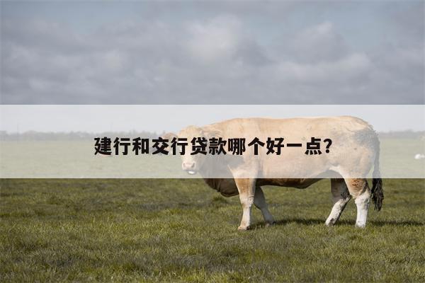 建行和交行贷款哪个好一点?