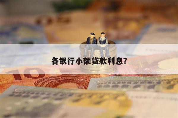 各银行小额贷款利息?