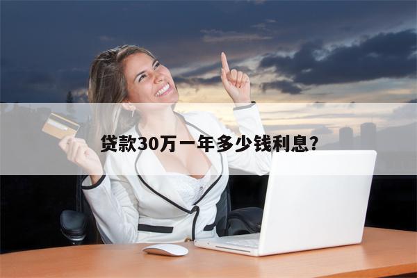 贷款30万一年多少钱利息?
