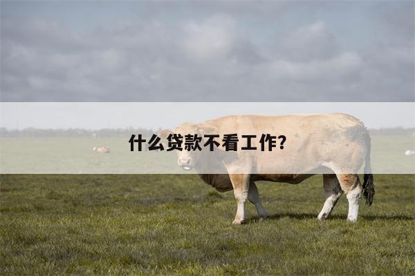 什么贷款不看工作?