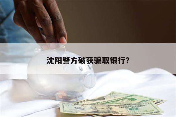 沈阳警方破获骗取银行?