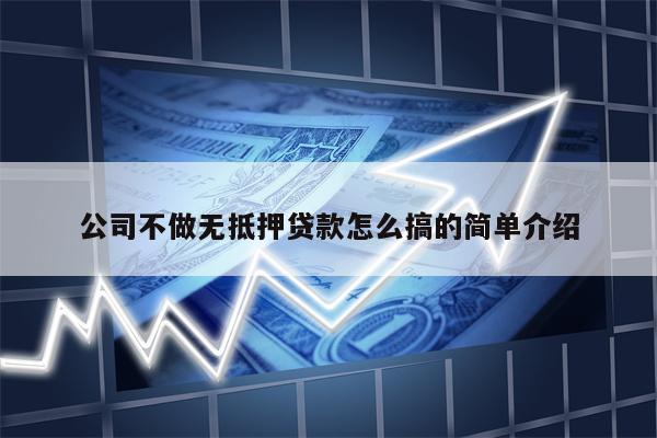公司不做无抵押贷款怎么搞的简单介绍
