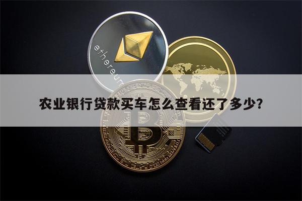 农业银行贷款买车怎么查看还了多少?