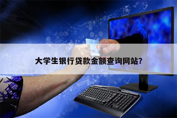 大学生银行贷款金额查询网站?