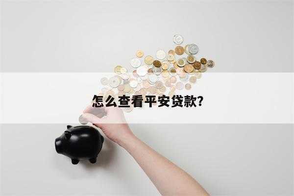 怎么查看平安贷款?
