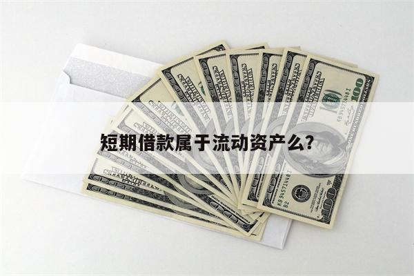 短期借款属于流动资产么?