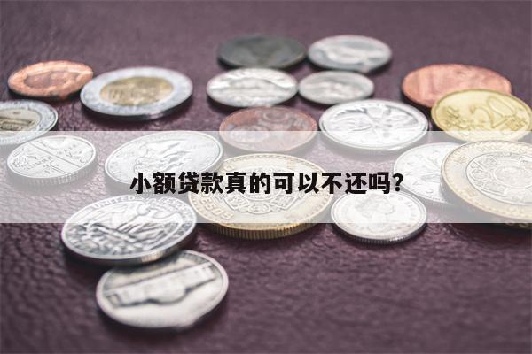 小额贷款真的可以不还吗?
