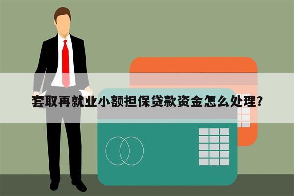 套取再就业小额担保贷款资金怎么处理?