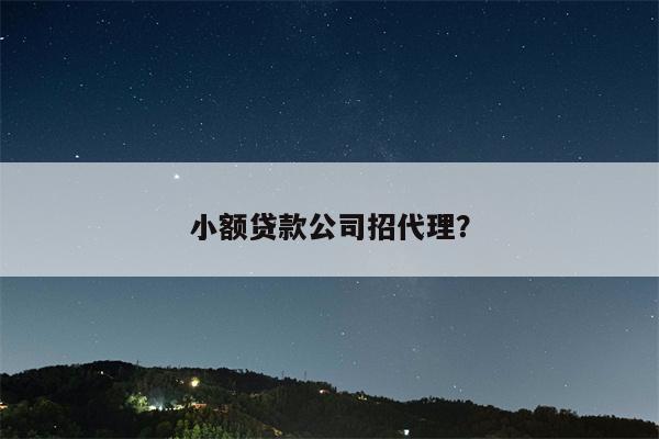 小额贷款公司招代理?