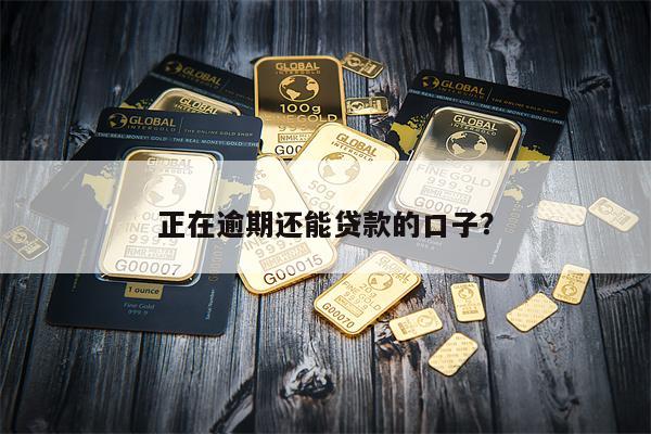 正在逾期还能贷款的口子?