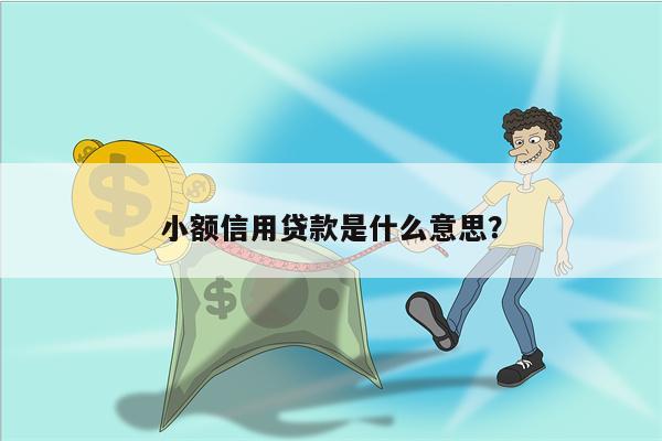 小额信用贷款是什么意思?