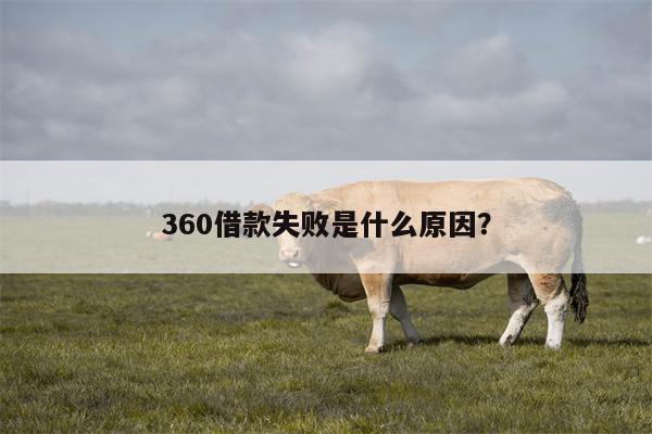 360借款失败是什么原因?