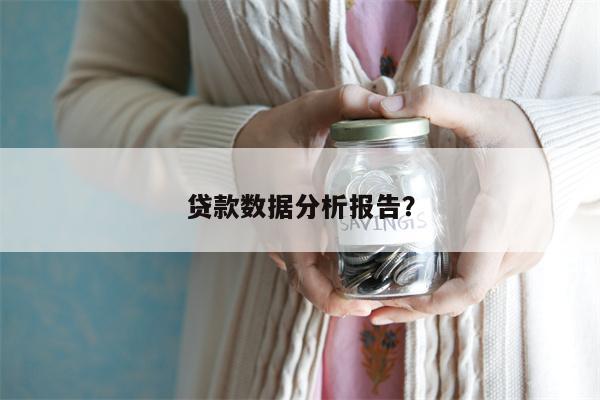贷款数据分析报告?