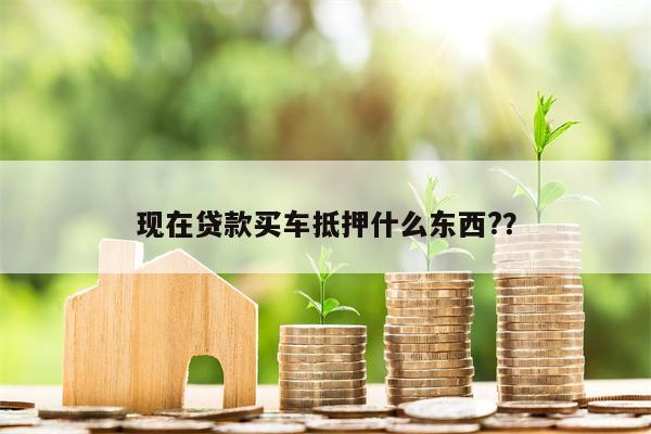 现在贷款买车抵押什么东西??