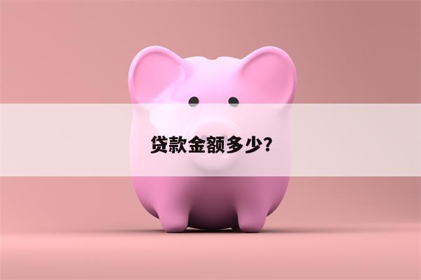 贷款金额多少?