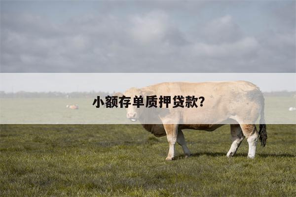 小额存单质押贷款?
