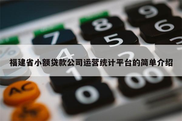 福建省小额贷款公司运营统计平台的简单介绍