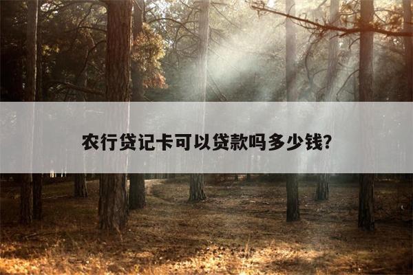 农行贷记卡可以贷款吗多少钱?