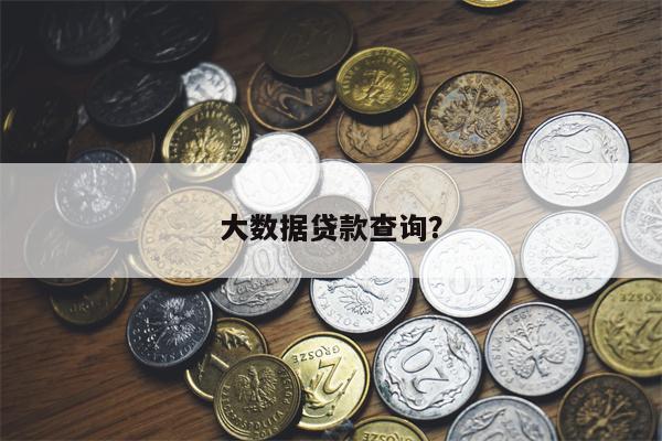 大数据贷款查询?