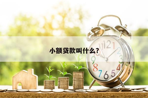 小额贷款叫什么?