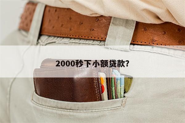 2000秒下小额贷款?