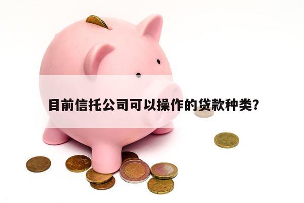 目前信托公司可以操作的贷款种类?