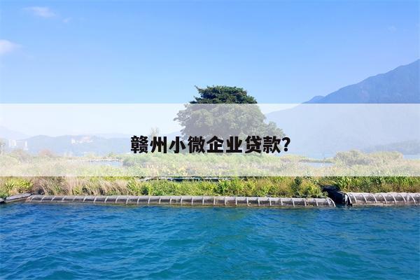 赣州小微企业贷款?