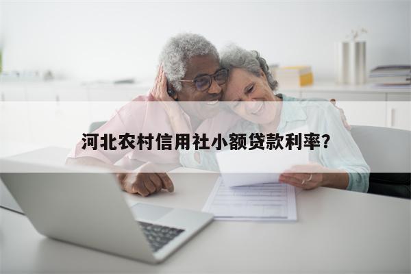 河北农村信用社小额贷款利率?