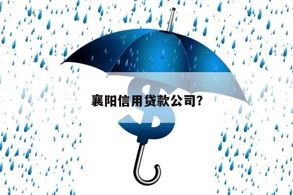 襄阳信用贷款公司?