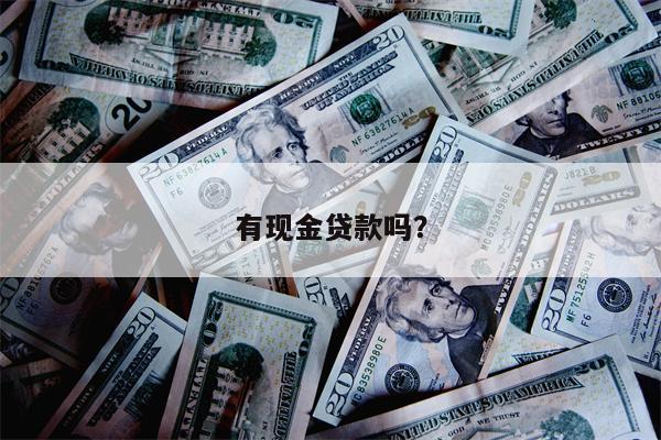 有现金贷款吗?