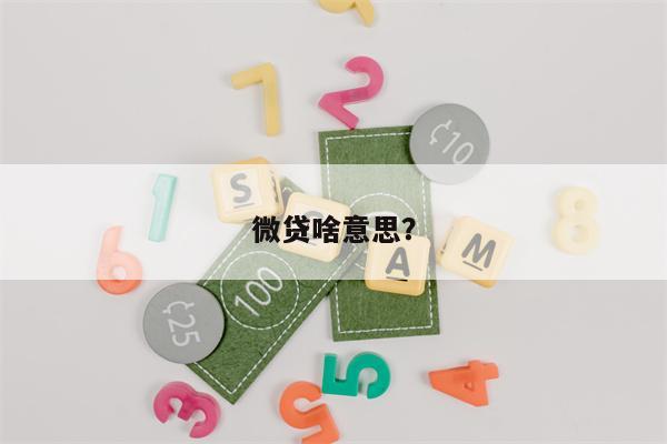 微贷啥意思?